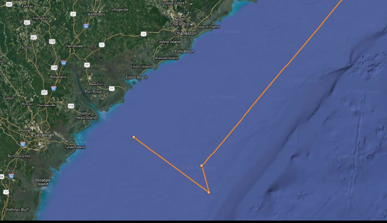 12-foot great white shark lingers off Myrtle Beach coast