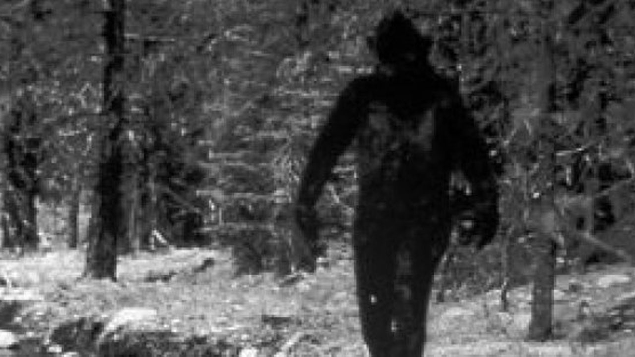 bigfoot_275049