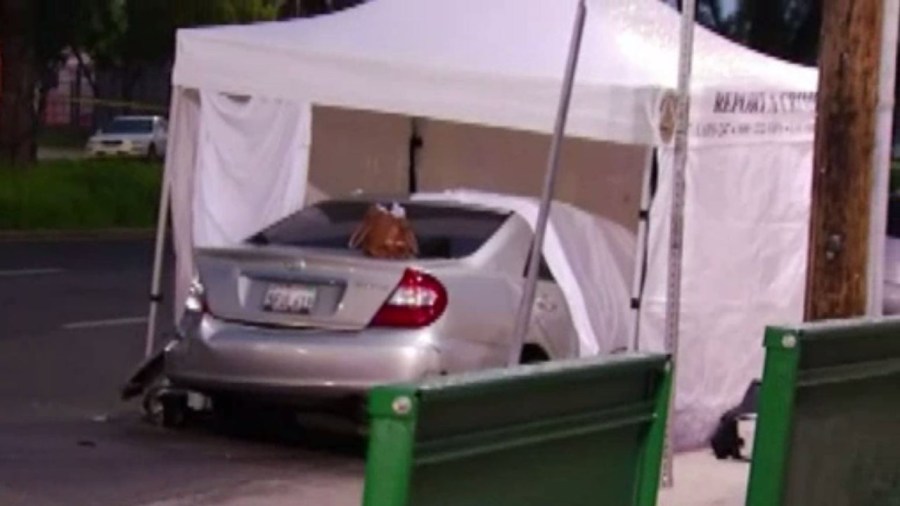 deadly-hit-and-run_265404