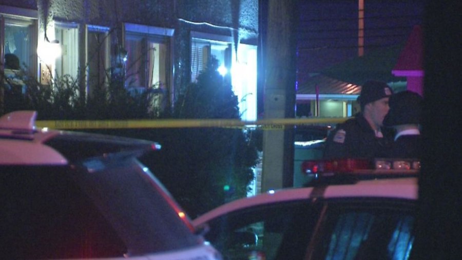 maize-rd-shooting_266486