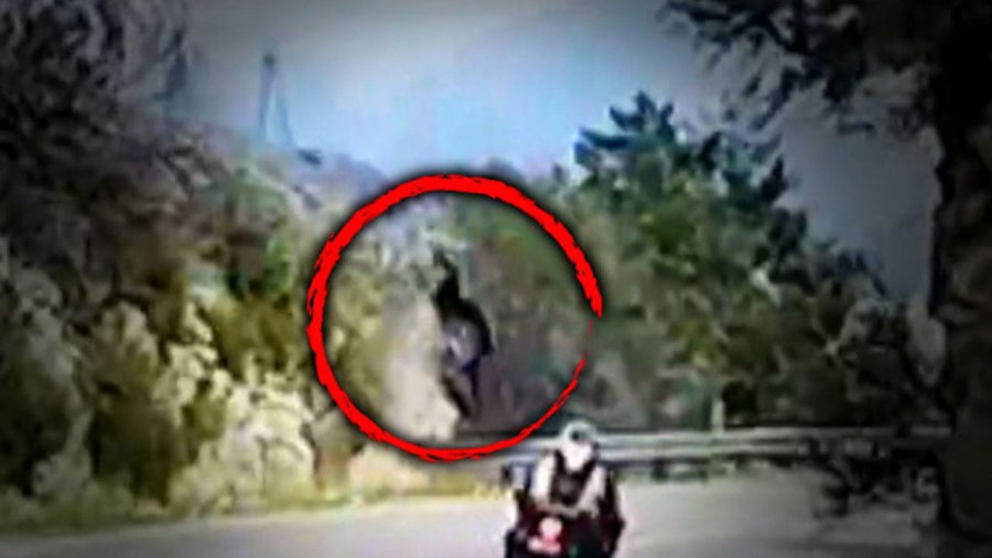 motorcycle-crash_278050