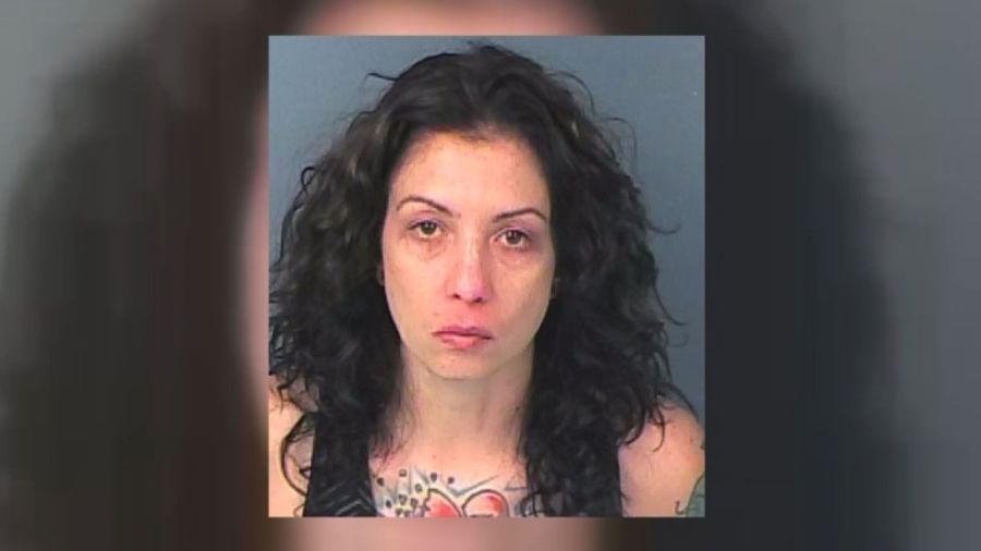 NC_wflateachersexarrestdup1490303191822_1920x1080_274072
