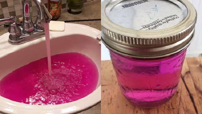 PinkWater_265136