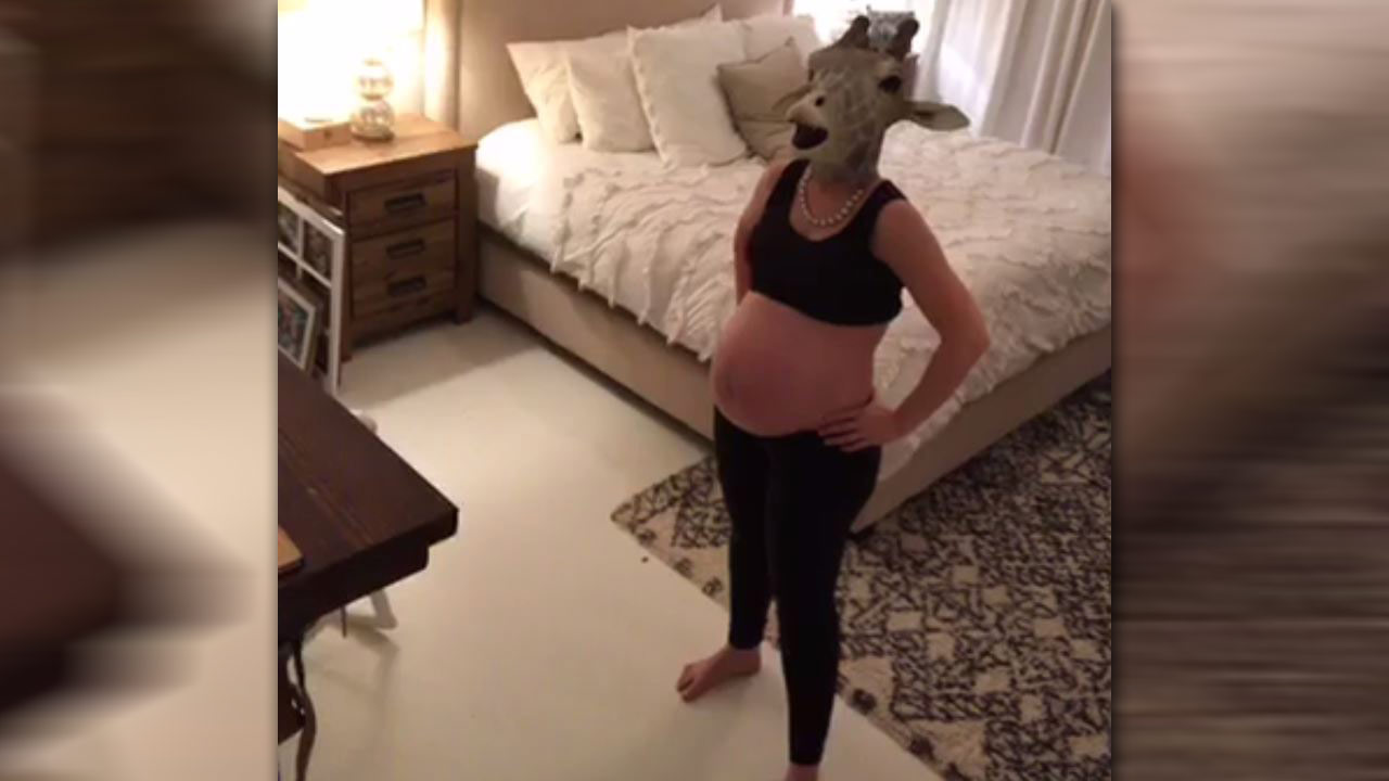 pregnant-giraffe_263117