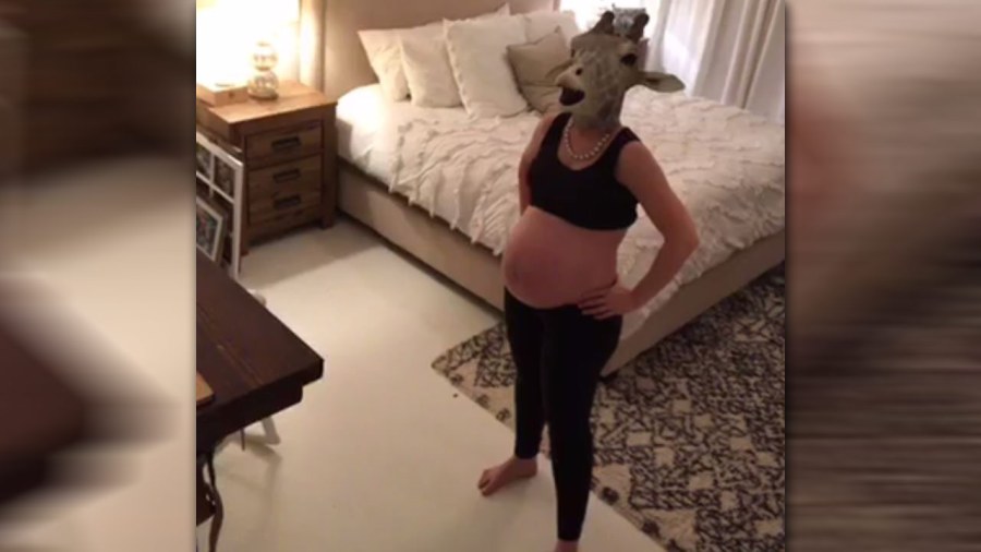 pregnant-giraffe_263117