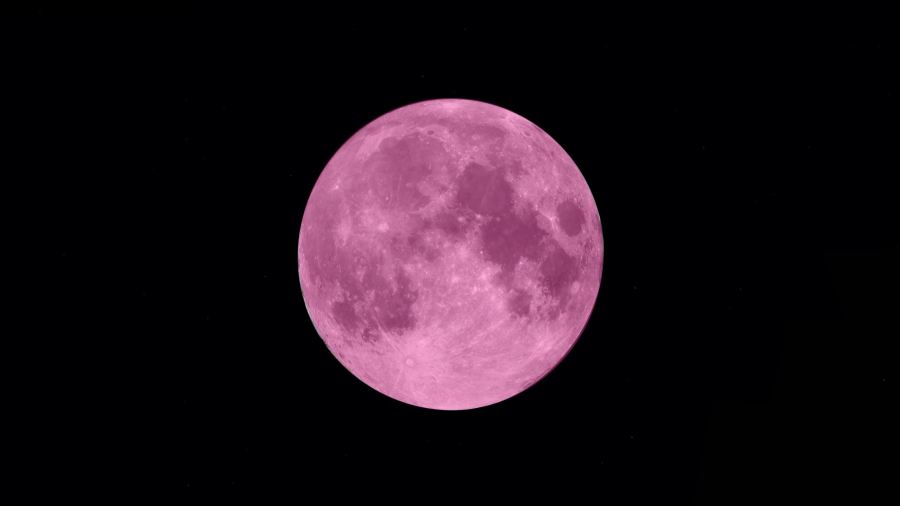 4-10 pink moon_283981