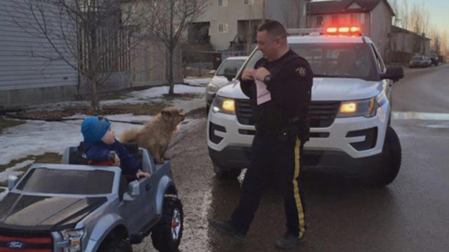 boy-gets-ticket_286428