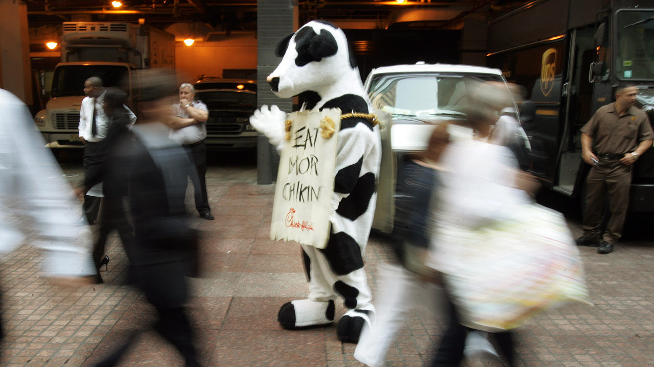 chick-fil-a-cow-costume_286400