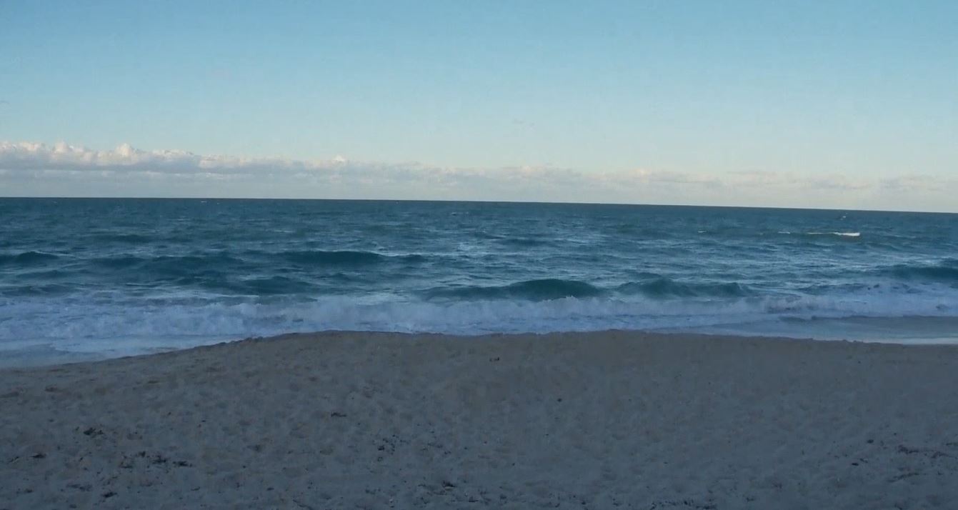 floridabeach_284296