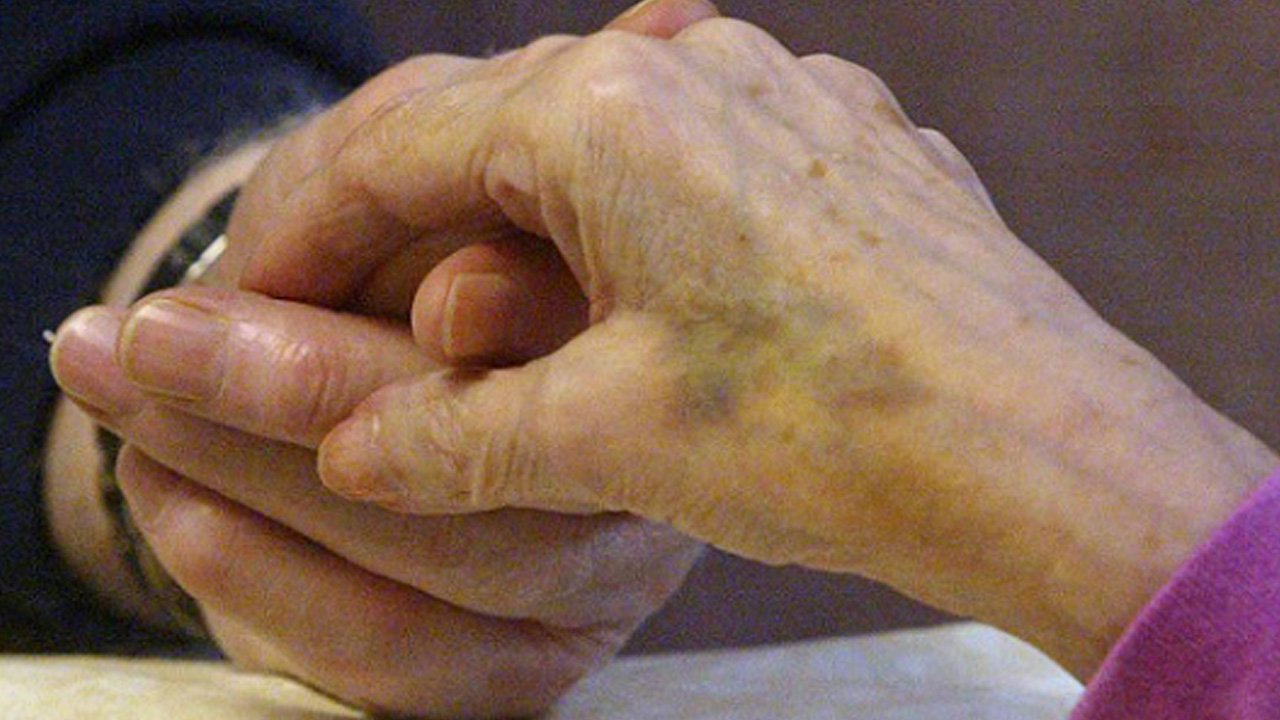hands_293464