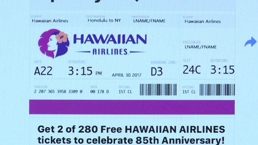 hawaiian-airlines_282933