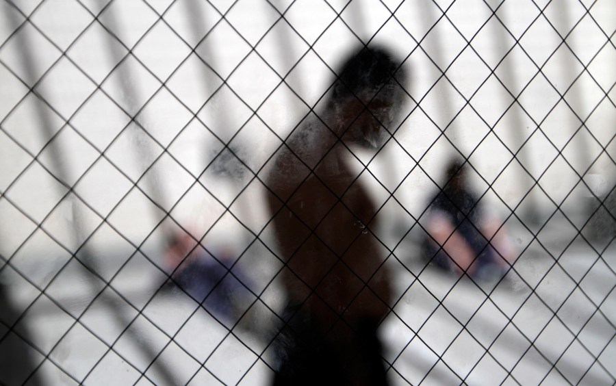 Immigrant Detention_284829