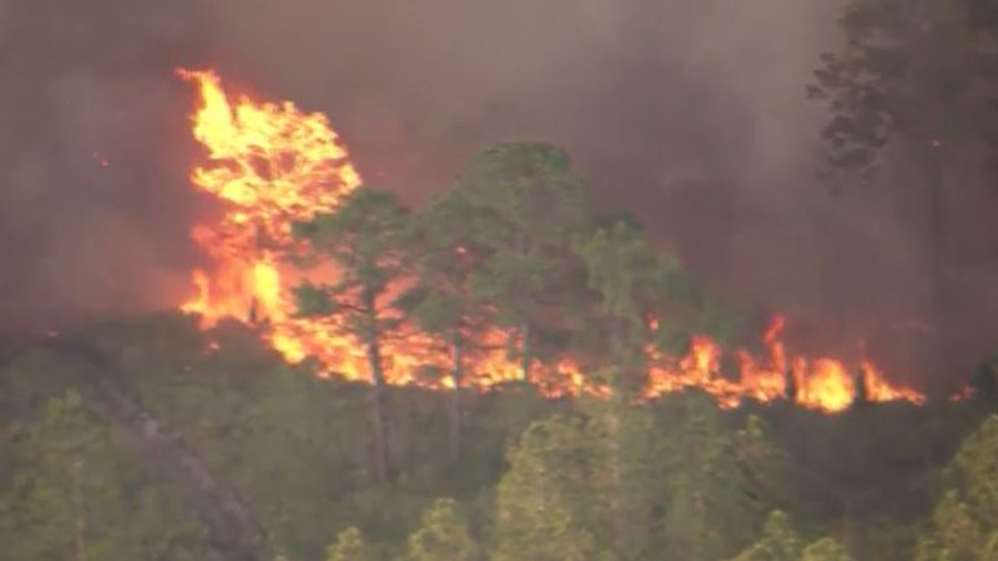 lakeland forest fire2_290589