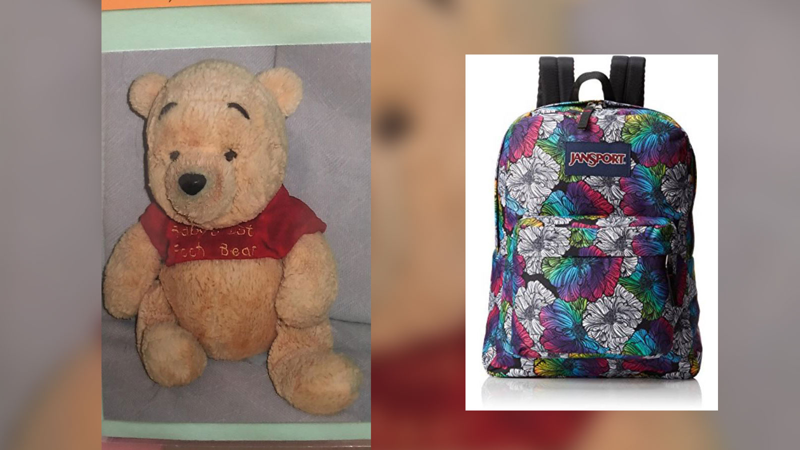 missing-bear_290633