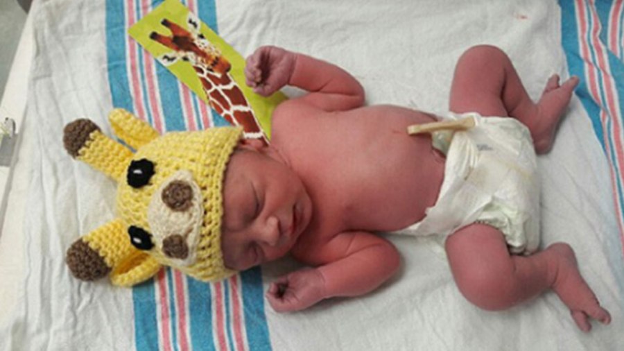 NEWBORN-GIRAFFE-HAT_287328