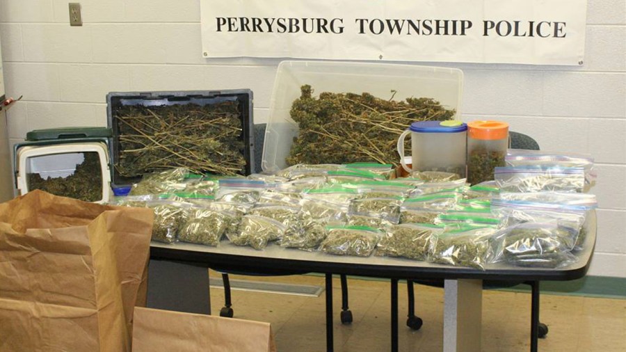 perrysburg-pot-bust_284676