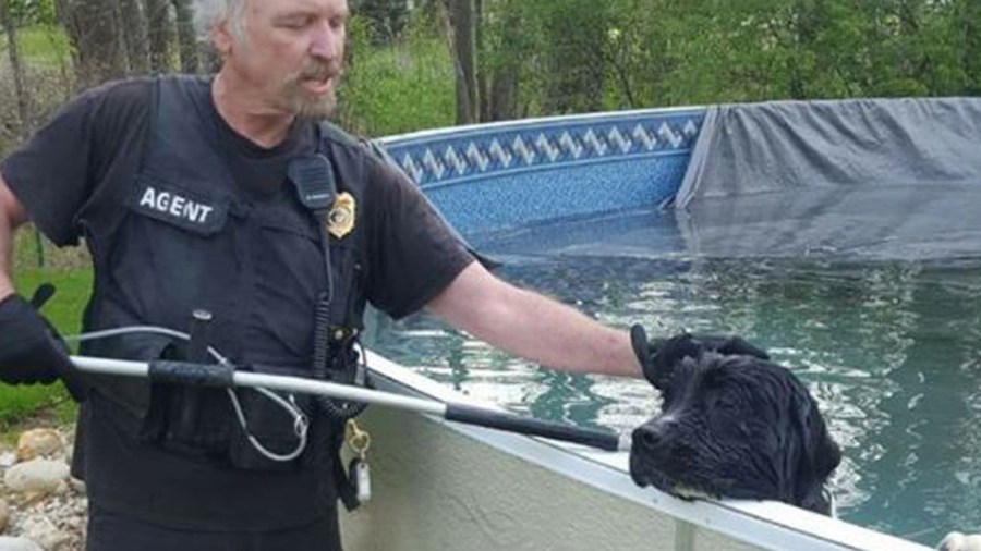 rescueweb_289107