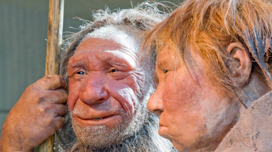 stone-age_282979