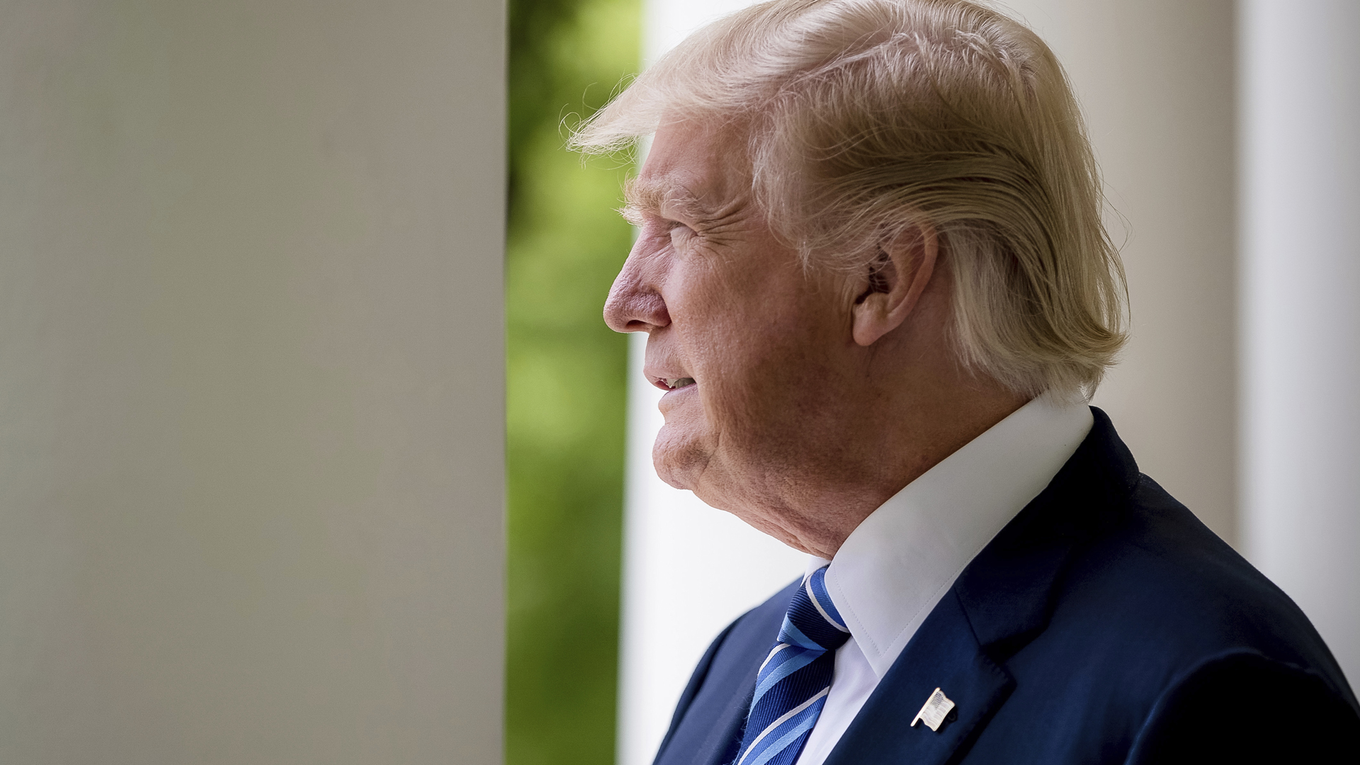 Donald Trump_290932