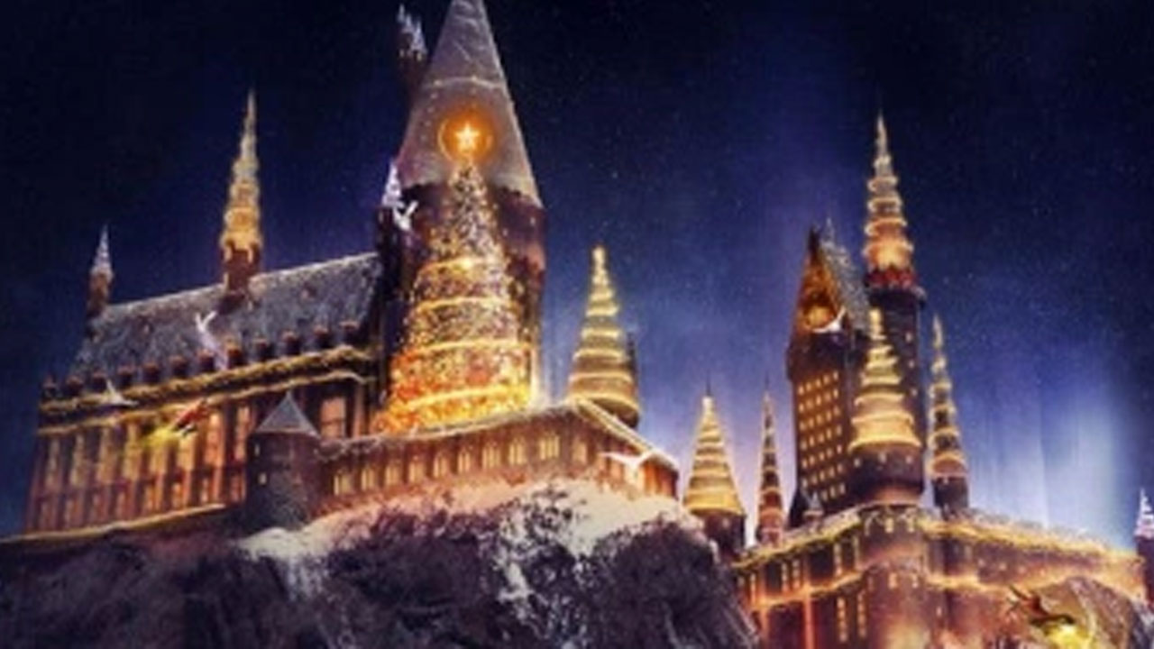 wizarding-world-of-harry-po_287292