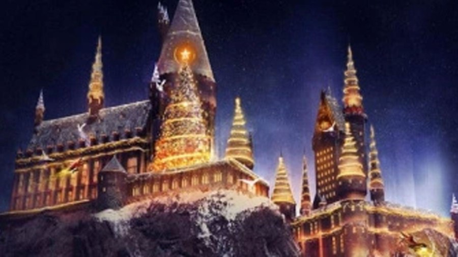 wizarding-world-of-harry-po_287292