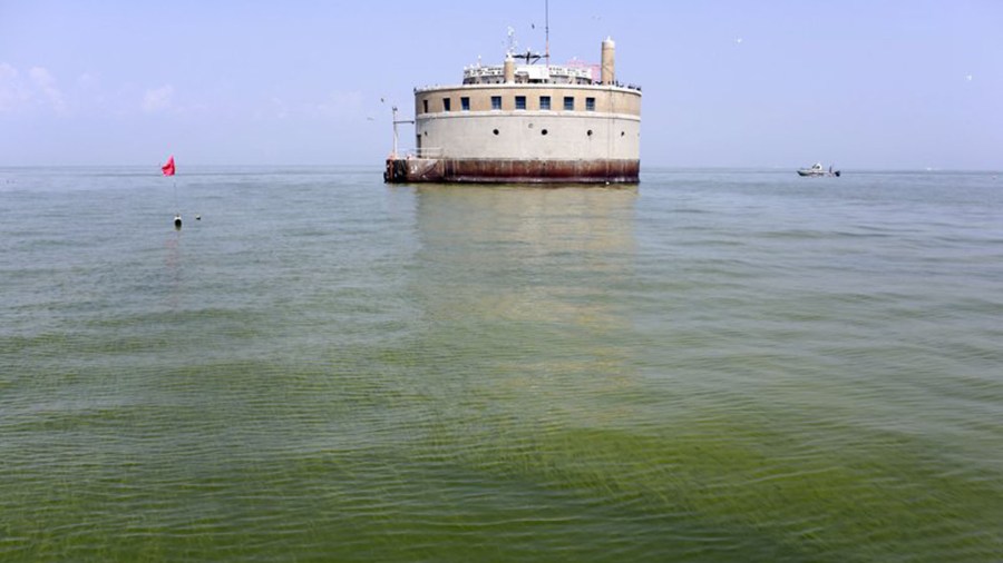 great lakes algae_266933