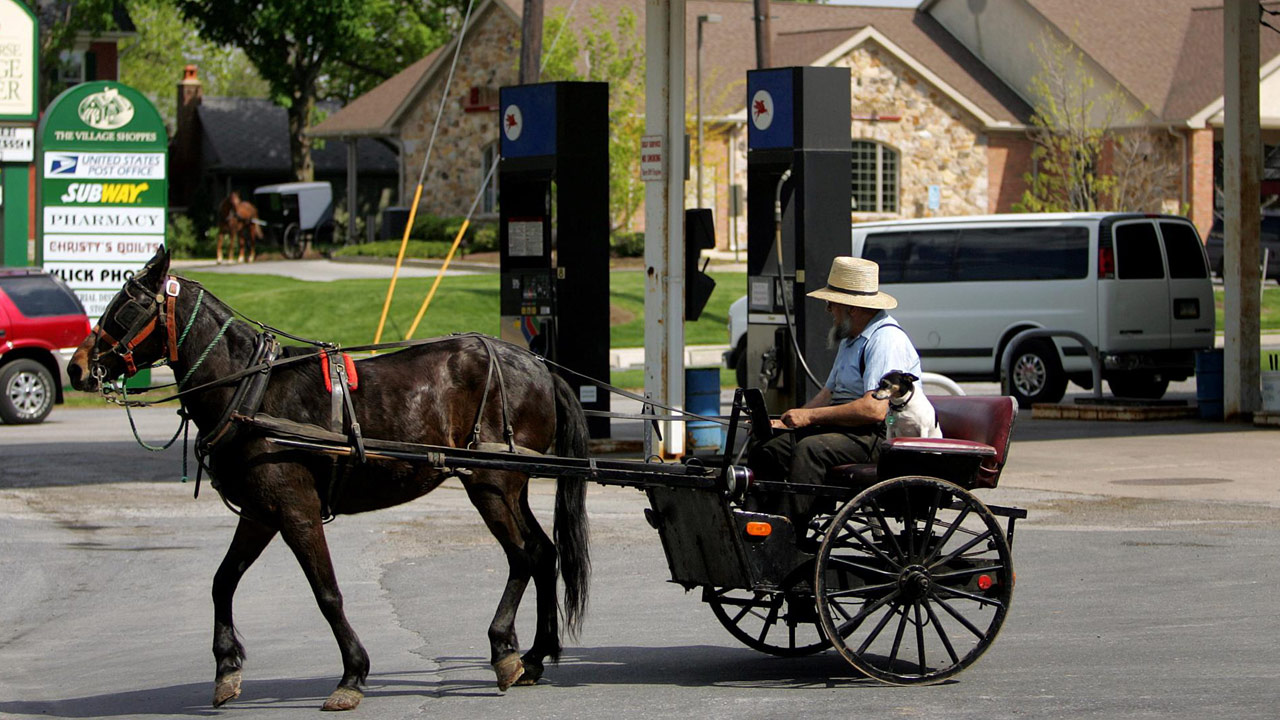 amish-horse-drawn-buggy_295451