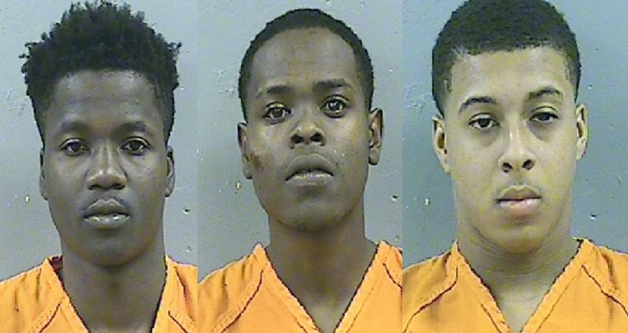 arrests_306529