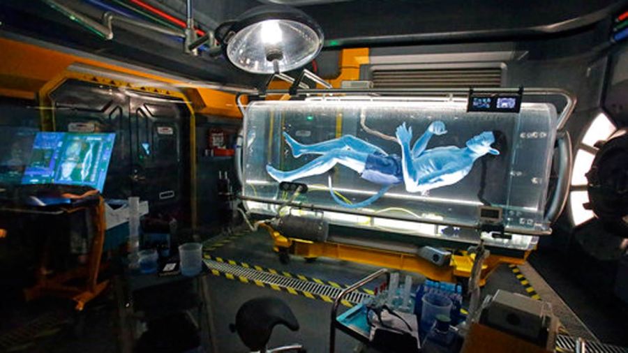 avatar-land_299537