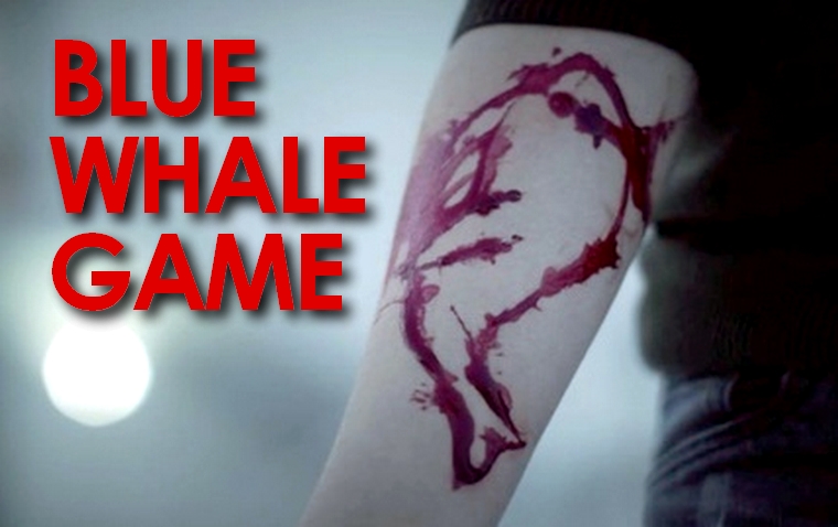 bluewhale6_300858