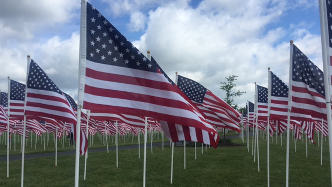 fieldheroesweb_310716