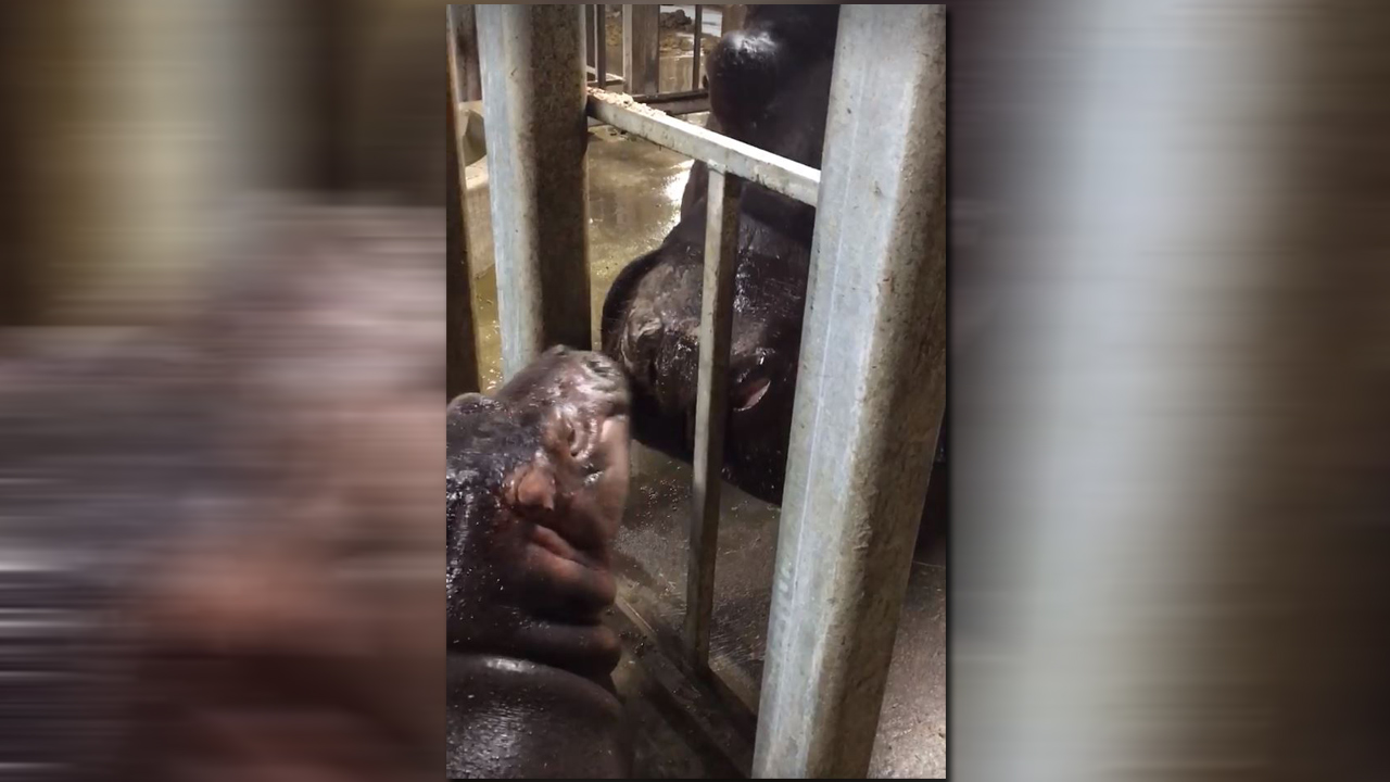 fiona-and-mom-web_303272
