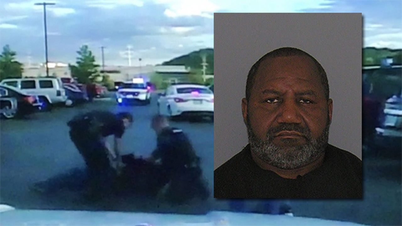 man-fights-police_300356