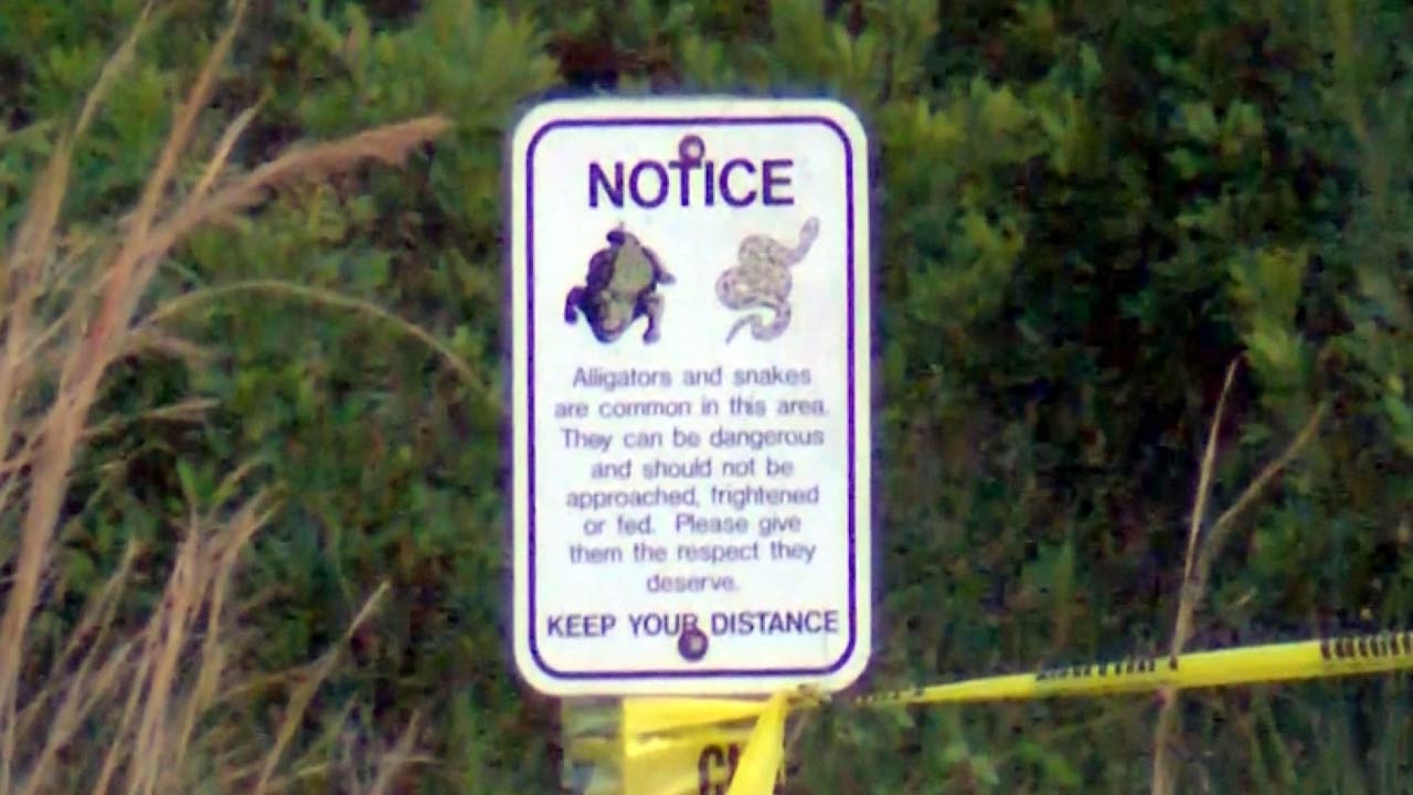 NC_gatorbite0508_1500x845_299498