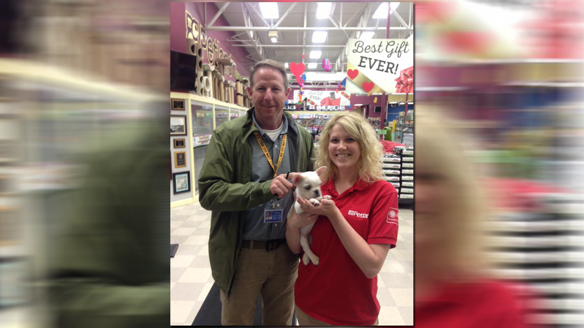 petland_298901