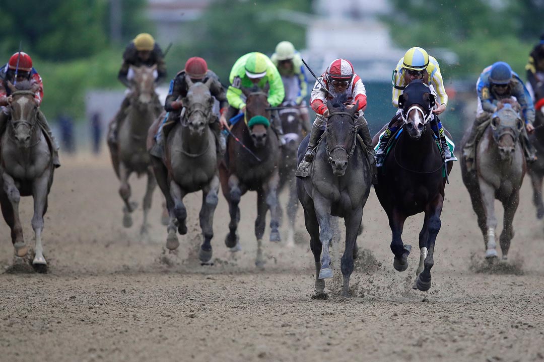 Preakness for Web_307542