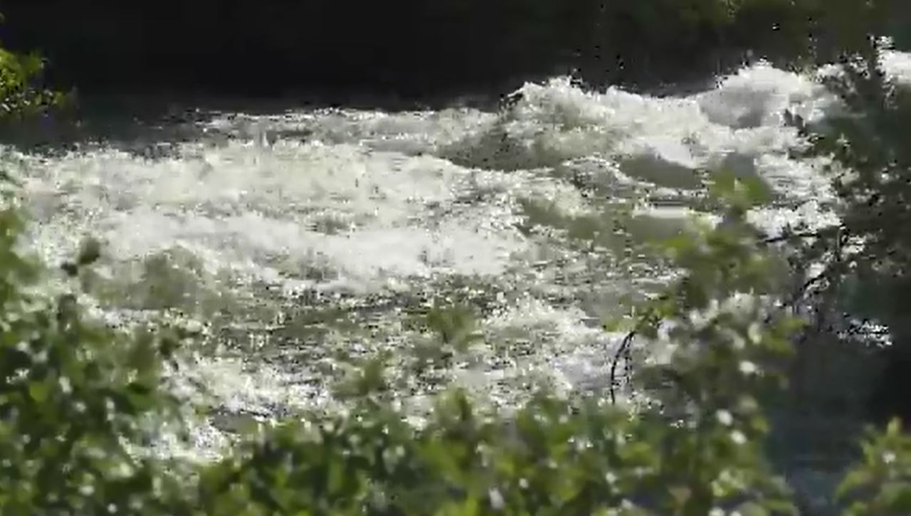 riverweb_312275
