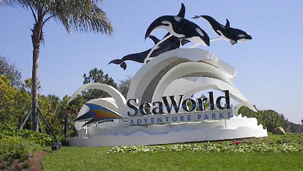 seaworldorlando_308643