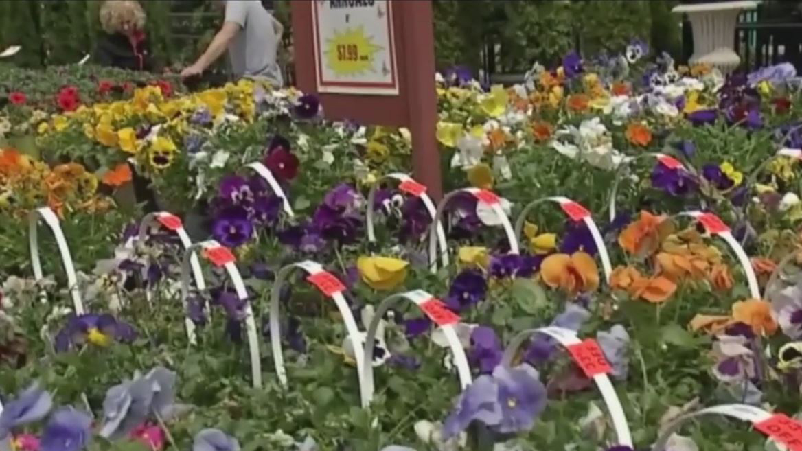 spring planting tips_298852