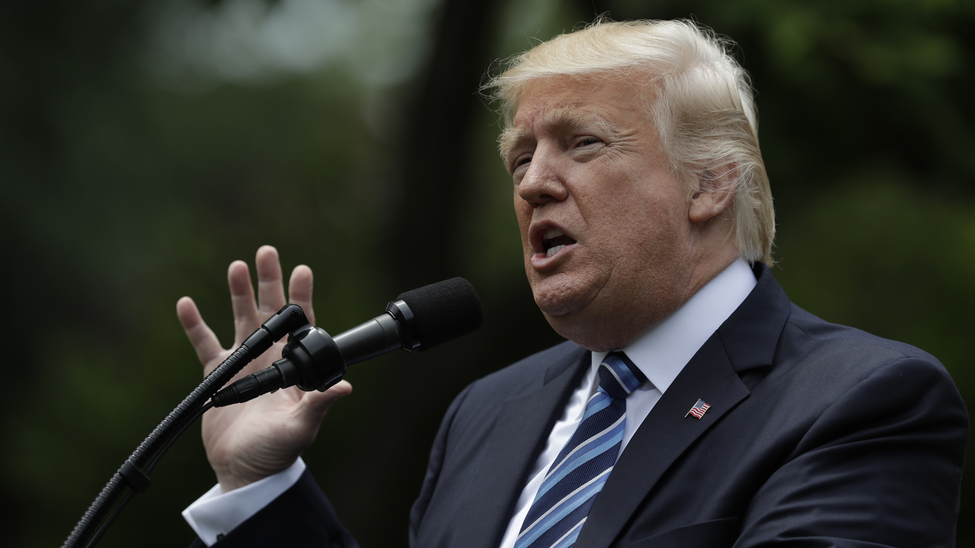 Donald Trump_297540
