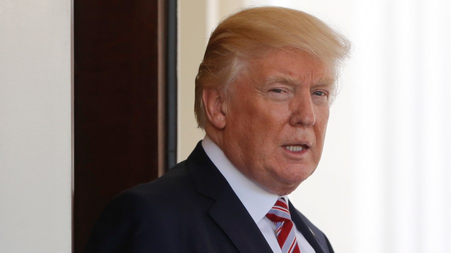 Donald Trump_305112