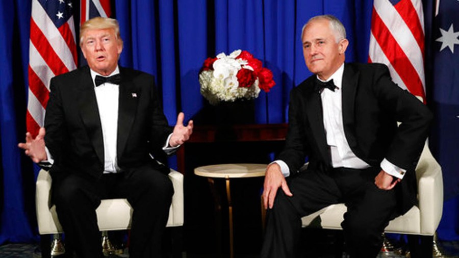 trumpweb_298185
