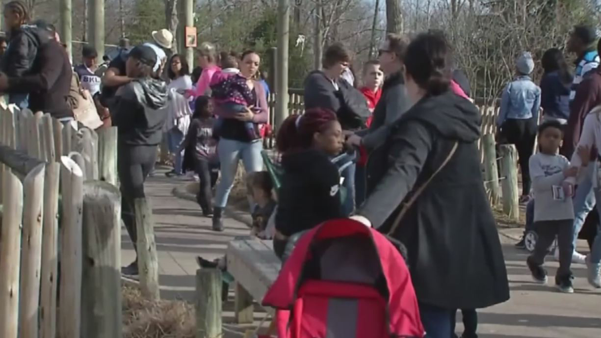 zoo crowd_298460