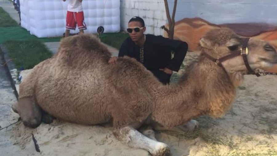 camel_315764