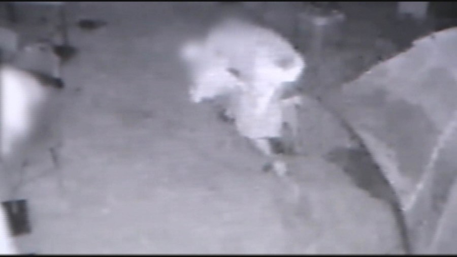 father-jumps-alleged-child-predator_330011