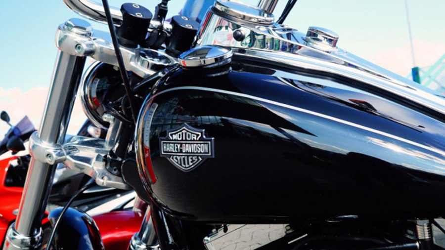 Harley_314161