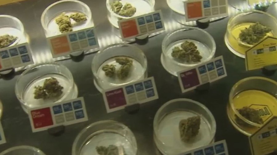 medical-marijuana-dispensar_316999
