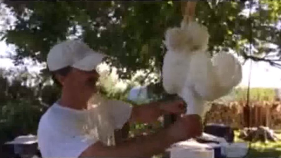 mike-moon-chicken_320832