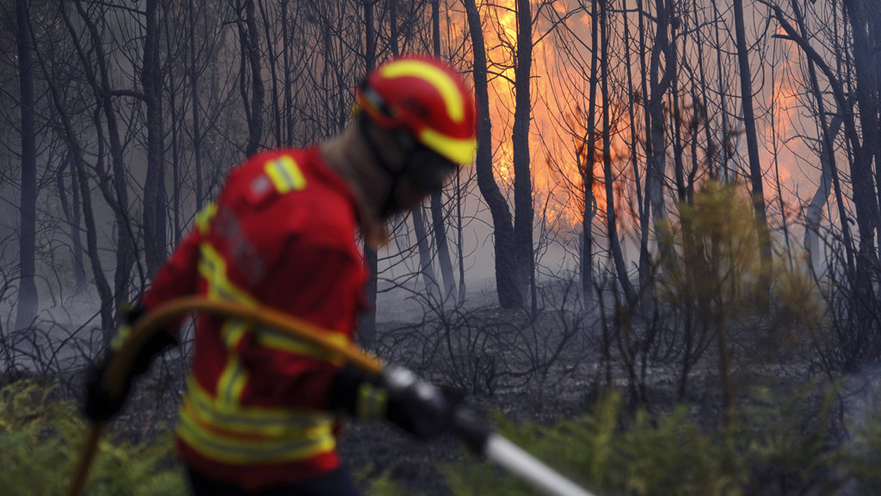 Portugal Forest Fires_322450