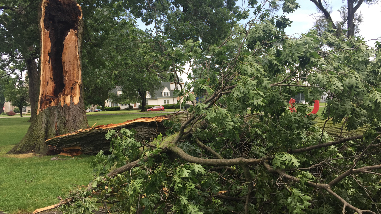 stormdamage_319717